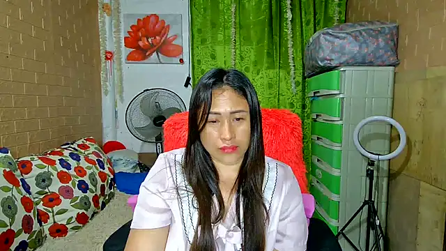 M e c e l online show from December 26, 2024, 2:16 pm