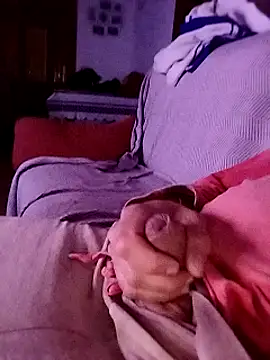 Snapshot of juandi21cm chatting on January 1, 2025, 1:47 am juandi21cm online show from January 1, 2025, 1:47 am