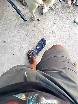 TitularAdaption online show from February 19, 2026, 6:53 am