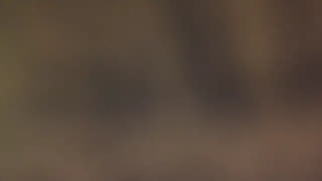 leccaleccafiga online show from March 12, 2026, 6:47 pm