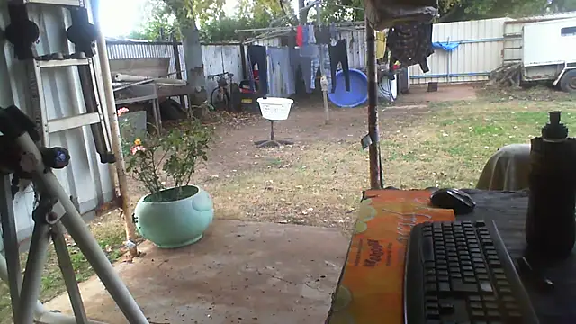 herbie010666 online show from August 3, 2026, 4:22 am