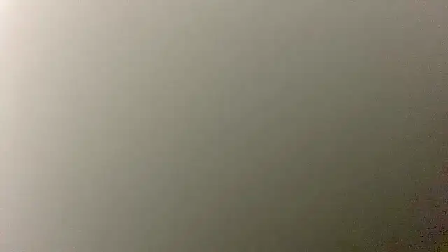 Snapshot of Pussy_hunter225 chatting on December 2, 2025, 5:30 pm Pussy hunter225 online show from December 2, 2025, 5:30 pm