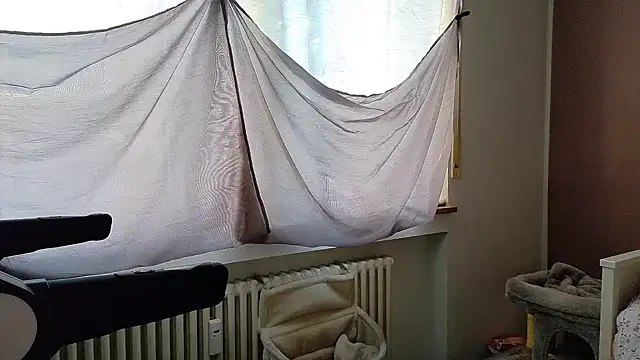 wetgerman 2 online show from September 28, 2025, 2:33 pm