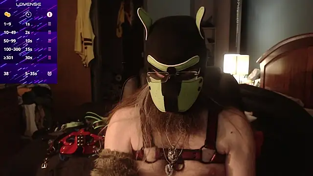 kinkywolf429 online show from June 17, 2026, 11:05 pm