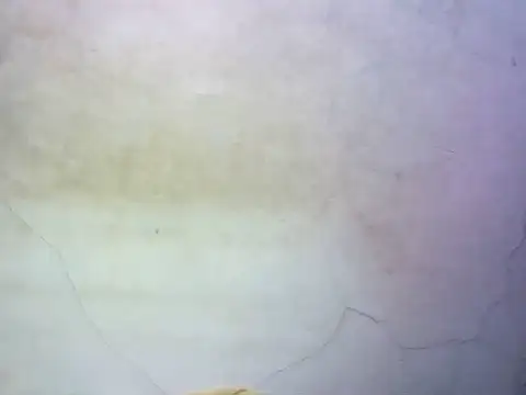 wet babexxx online show from October 9, 2025, 10:30 pm