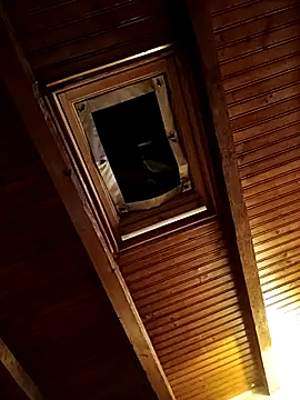 CurlyElisa online show from February 26, 2026, 9:36 pm