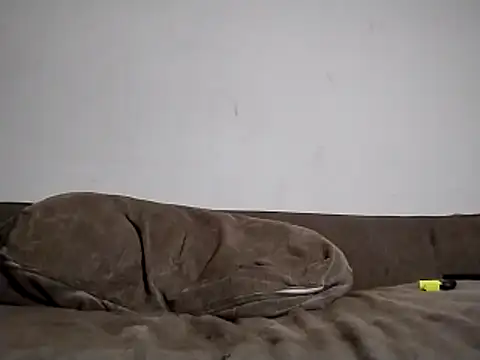 247Srokin online show from March 15, 2026, 8:31 am