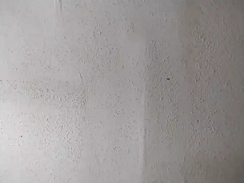 247Srokin online show from April 13, 2026, 7:14 am