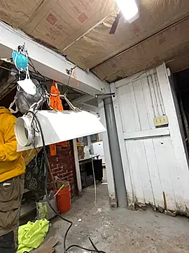 charactrzero online show from December 23, 2024, 9:51 pm