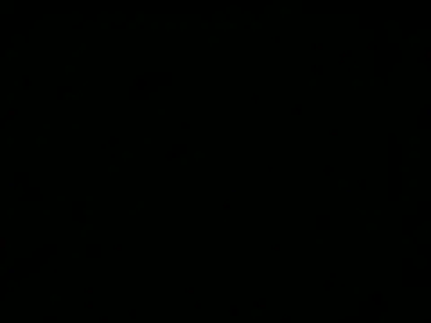 Sexyrkv91 online show from December 16, 2025, 10:20 am