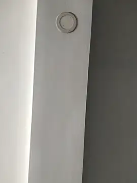 Snapshot of ElsecretodeBruno chatting on February 18, 2025, 6:15 pm ElsecretodeBruno online show from February 18, 2025, 6:15 pm