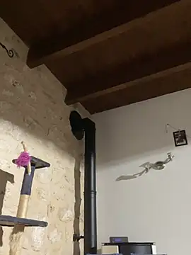 steph19x5 online show from December 27, 2024, 5:42 am