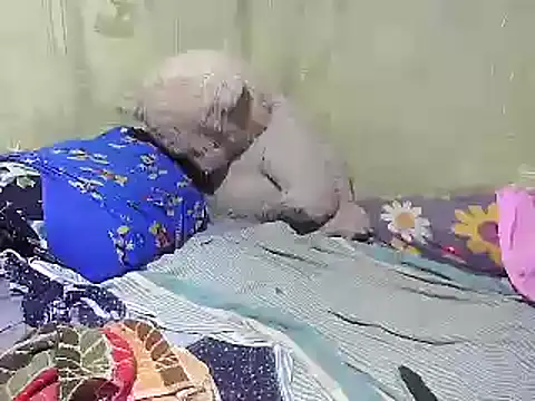 Alora-shine online show from February 18, 2025, 9:21 am