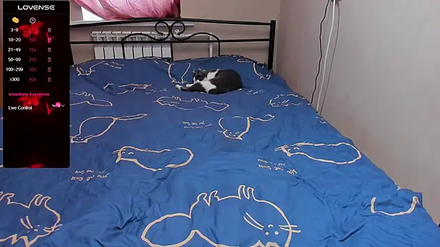 eva zero online show from November 3, 2025, 11:33 am