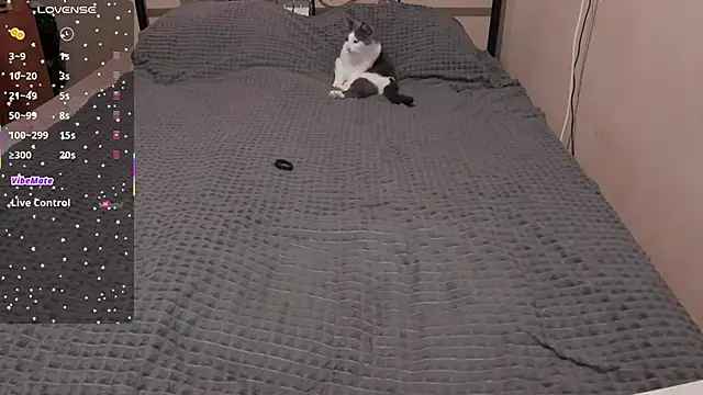 eva zero online show from March 28, 2026, 11:10 am