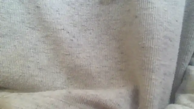 OralDesires2 online show from February 17, 2025, 3:20 pm