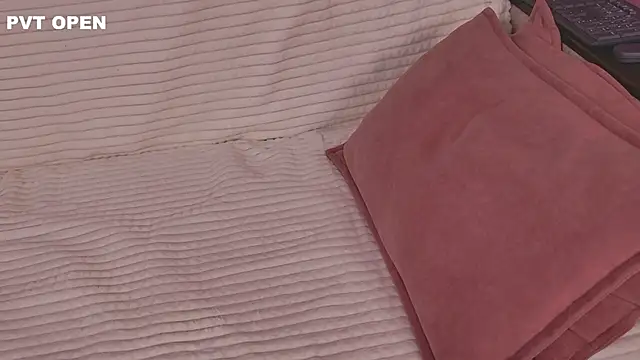 Snapshot of hlopushkahouse chatting on November 28, 2025, 2:53 pm hlopushkahouse online show from November 28, 2025, 2:53 pm