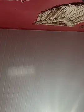 pimenta gaby online show from October 28, 2025, 11:14 am