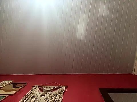 pimenta gaby online show from March 17, 2026, 9:29 pm