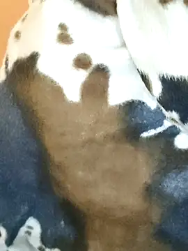 Diya 143 online show from January 7, 2026, 5:43 am