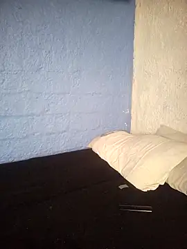 Snapshot of fablob23 chatting on January 2, 2025, 7:29 pm fablob23 online show from January 2, 2025, 7:29 pm