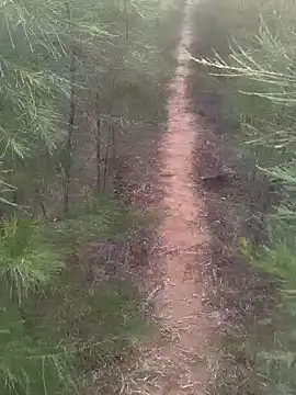 Snapshot of Gopal1243 chatting on February 17, 2025, 1:47 am Gopal1243 online show from February 17, 2025, 1:47 am