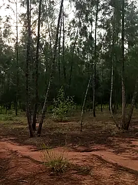 Snapshot of Gopal1243 chatting on October 9, 2025, 1:58 am Gopal1243 online show from October 9, 2025, 1:58 am