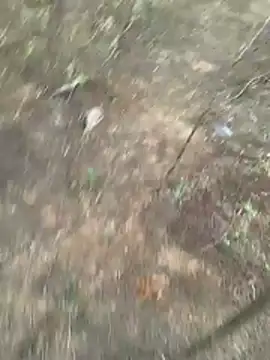 Gopal1243 online show from March 27, 2026, 1:11 am