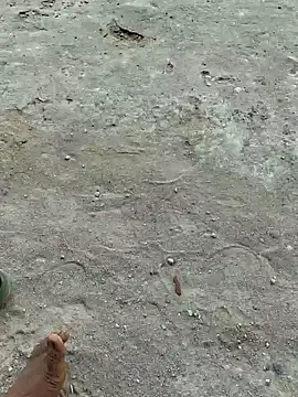 Gopal1243 online show from April 20, 2026, 7:55 am