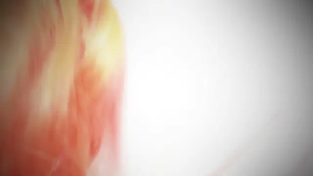 Snapshot of MayaAkashova chatting on November 1, 2025, 5:04 pm MayaAkashova online show from November 1, 2025, 5:04 pm