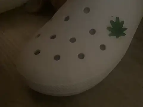 sexfaex online show from October 15, 2025, 8:47 am