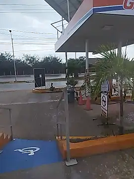 sagrado 1989 online show from January 12, 2026, 10:04 pm