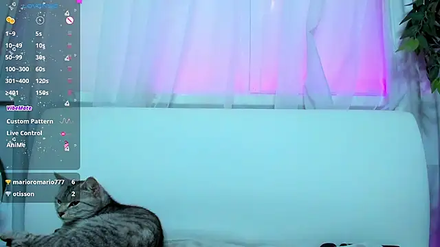 Bell a mi  online show from March 7, 2025, 5:40 am