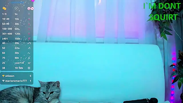 Bell a mi  online show from March 8, 2025, 5:59 am