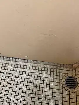 DreamerAsianGuy online show from December 25, 2024, 12:16 am