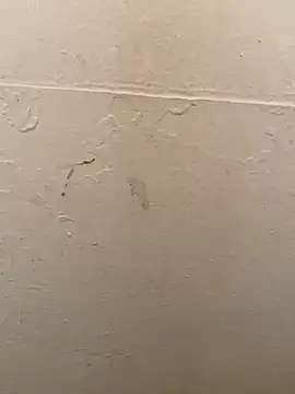 DreamerAsianGuy online show from January 19, 2025, 3:50 am