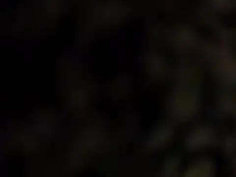 DarkHorse89 online show from September 9, 2025, 2:38 pm