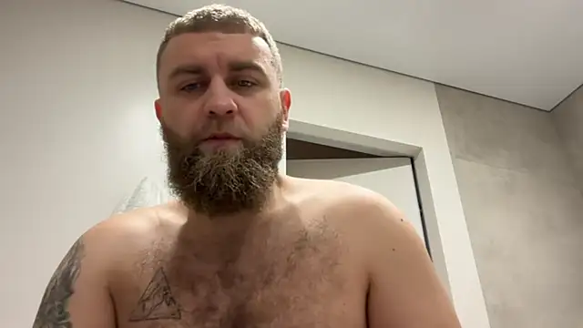 Bear bear  online show from November 7, 2025, 9:09 am