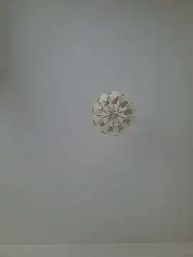 Snapshot of cuci45 chatting on February 20, 2026, 8:38 am cuci45 online show from February 20, 2026, 8:38 am