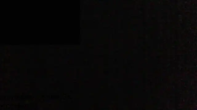 masculine bear daddy online show from February 19, 2025, 10:45 am