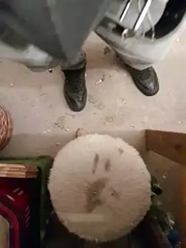 Lajkii online show from April 8, 2026, 11:59 pm