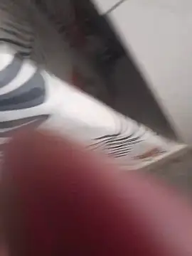 Lajkii online show from April 11, 2026, 10:25 pm