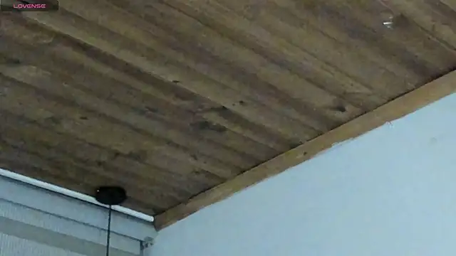 natasha logan  online show from September 29, 2025, 4:06 am