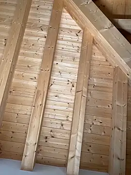 Snapshot of Fellix chatting on October 27, 2025, 11:47 am Fellix online show from October 27, 2025, 11:47 am