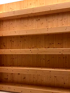 Snapshot of Fellix chatting on November 17, 2025, 8:42 am Fellix online show from November 17, 2025, 8:42 am