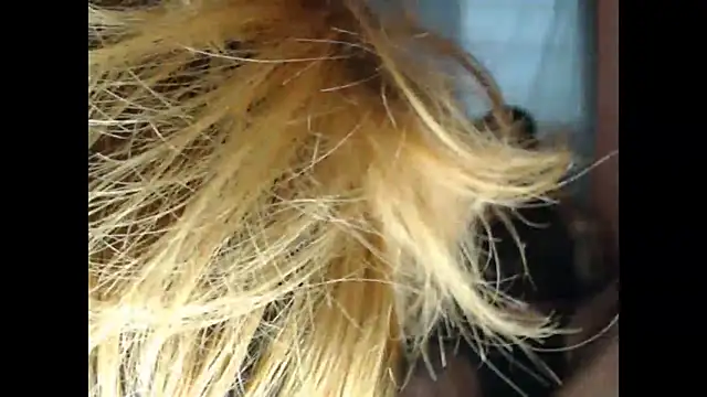 lover 1994 online show from March 27, 2026, 12:05 pm