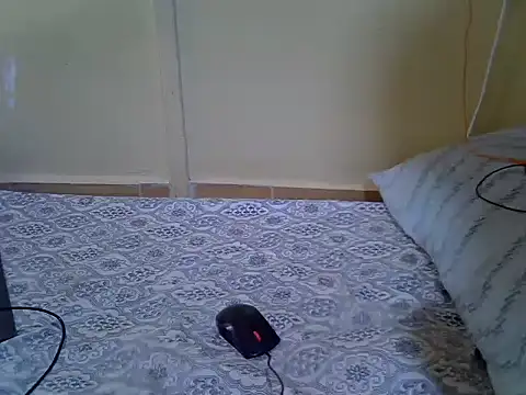 Snapshot of Melia0 chatting on February 11, 2026, 10:53 am Melia0 online show from February 11, 2026, 10:53 am