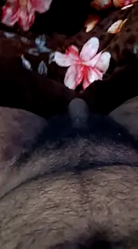 Snapshot of Naughtyforpussy chatting on February 1, 2025, 11:27 pm Naughtyforpussy online show from February 1, 2025, 11:27 pm