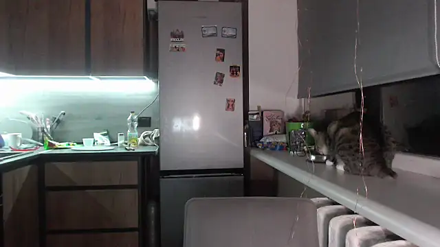 delightful sofi online show from September 28, 2025, 7:19 pm