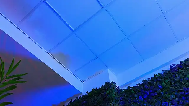 HotSkinnyX online show from February 13, 2025, 12:54 pm